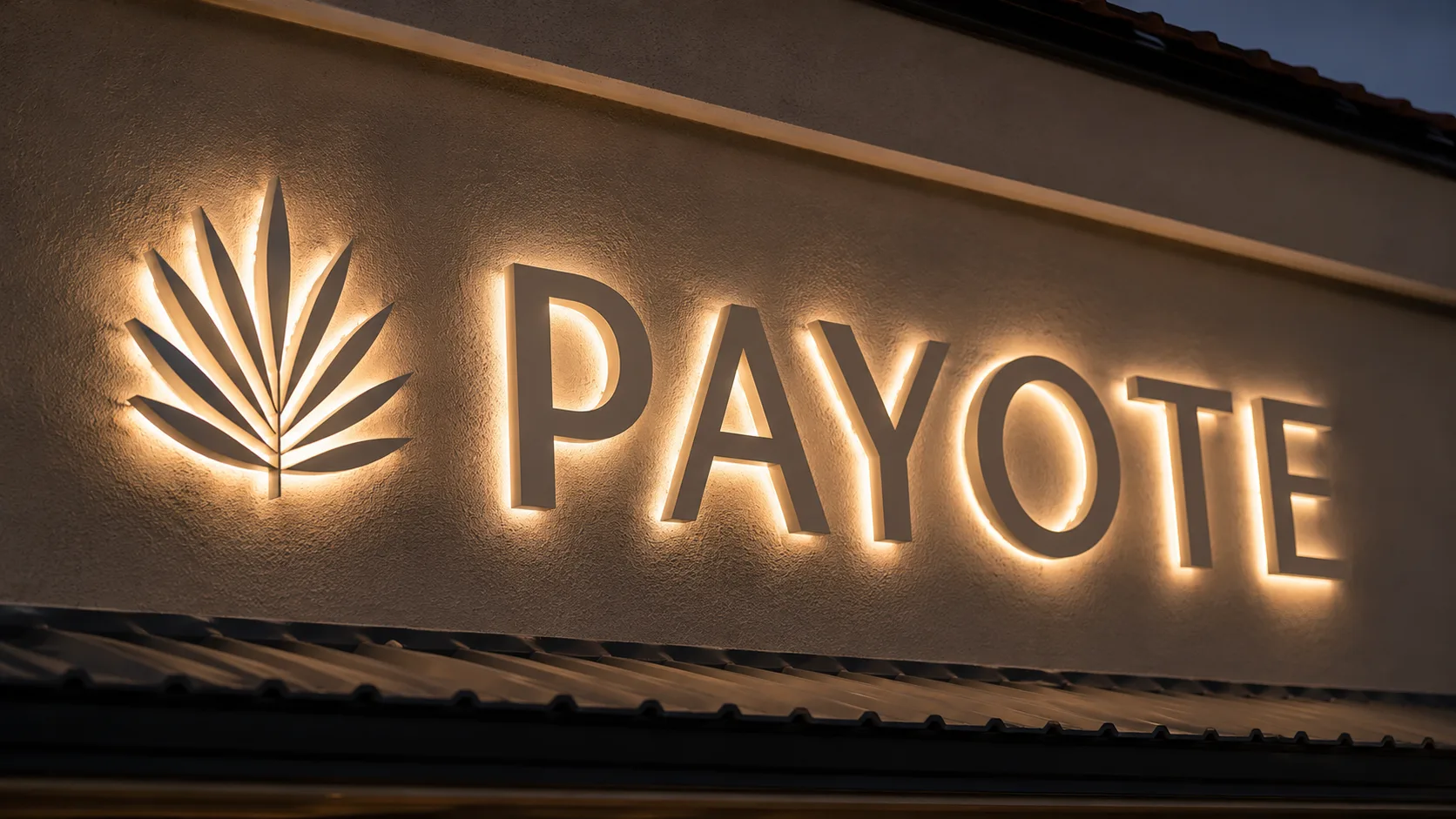 PAYOTE interior detail